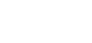 Image of Logo prime wills blanco